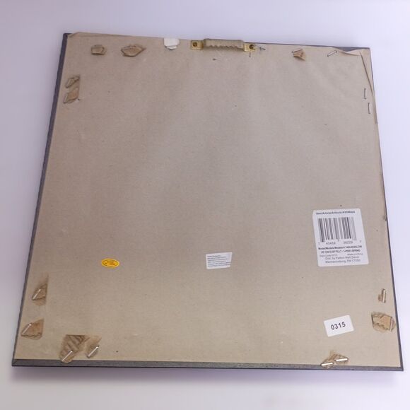 Henry Bradbury Seaweeds Nature Print Sphaerocccus Coronopifolius Framed Decor - Picture 3 of 3